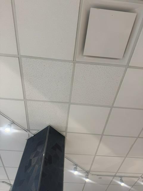 Stained Ceiling Tile Replacement — After (Detail)