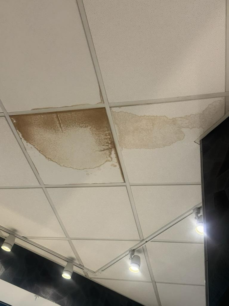 Stained Ceiling Tile Replacement — Before