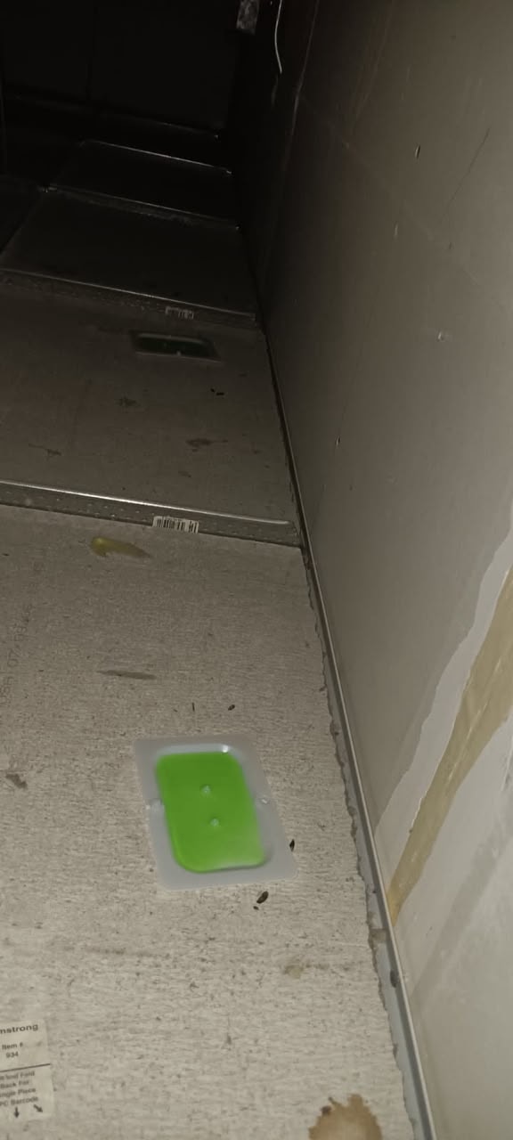 Traps Installation & Pest Control — Installation